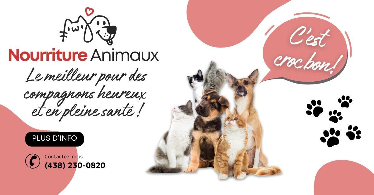 Nourriture et accessoires pour animaux domestiques et animaux de ferme dans Bellechasse