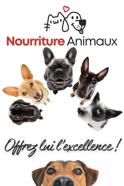 nourriture et accessoires pour animaux domestiques et animaux de ferme dans bellechasse droite