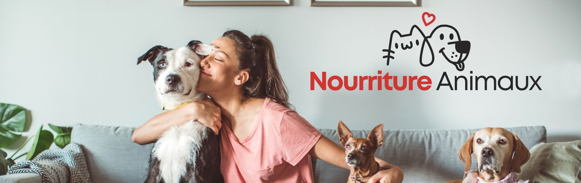 Nourriture et accessoires pour animaux domestiques et animaux de ferme